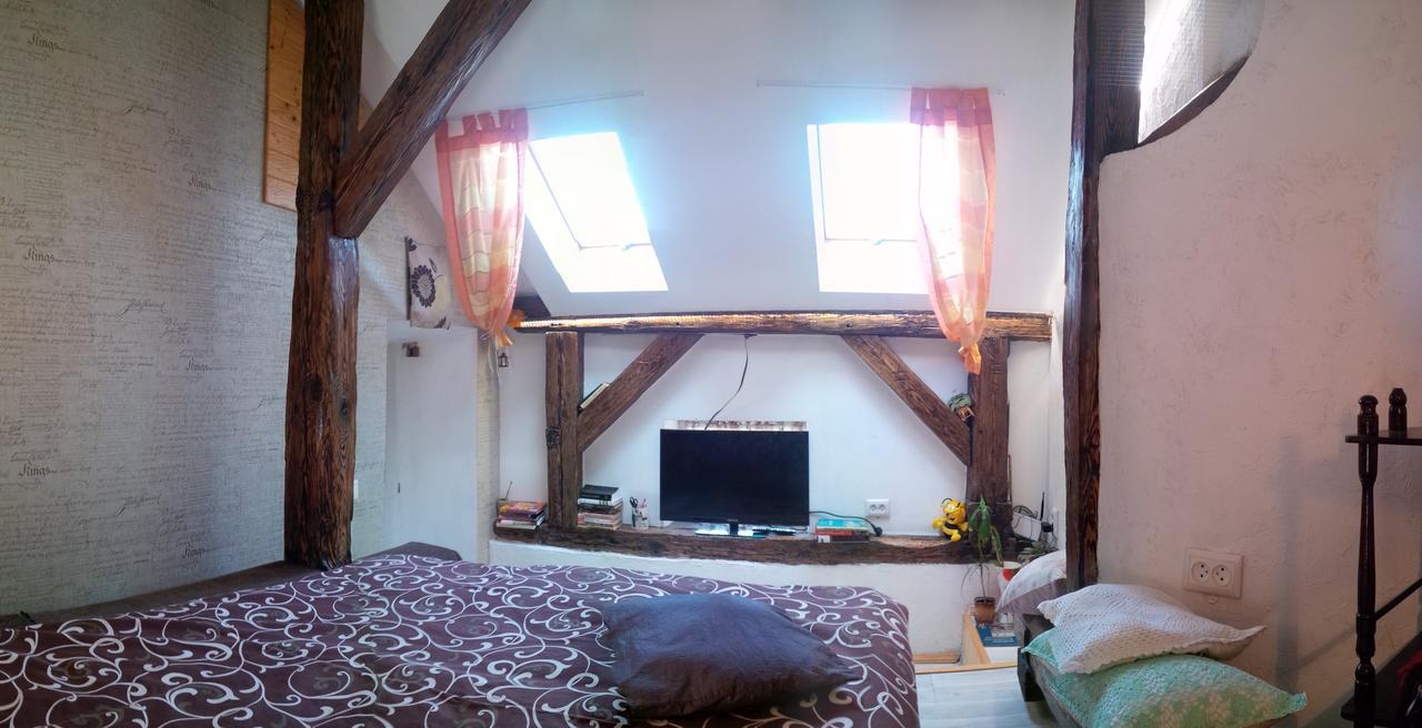 Lviv Amazing Rooftop Apartment Bagian luar foto