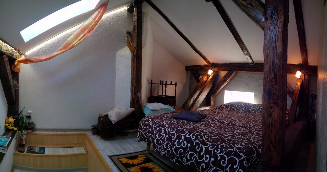 Lviv Amazing Rooftop Apartment Bagian luar foto