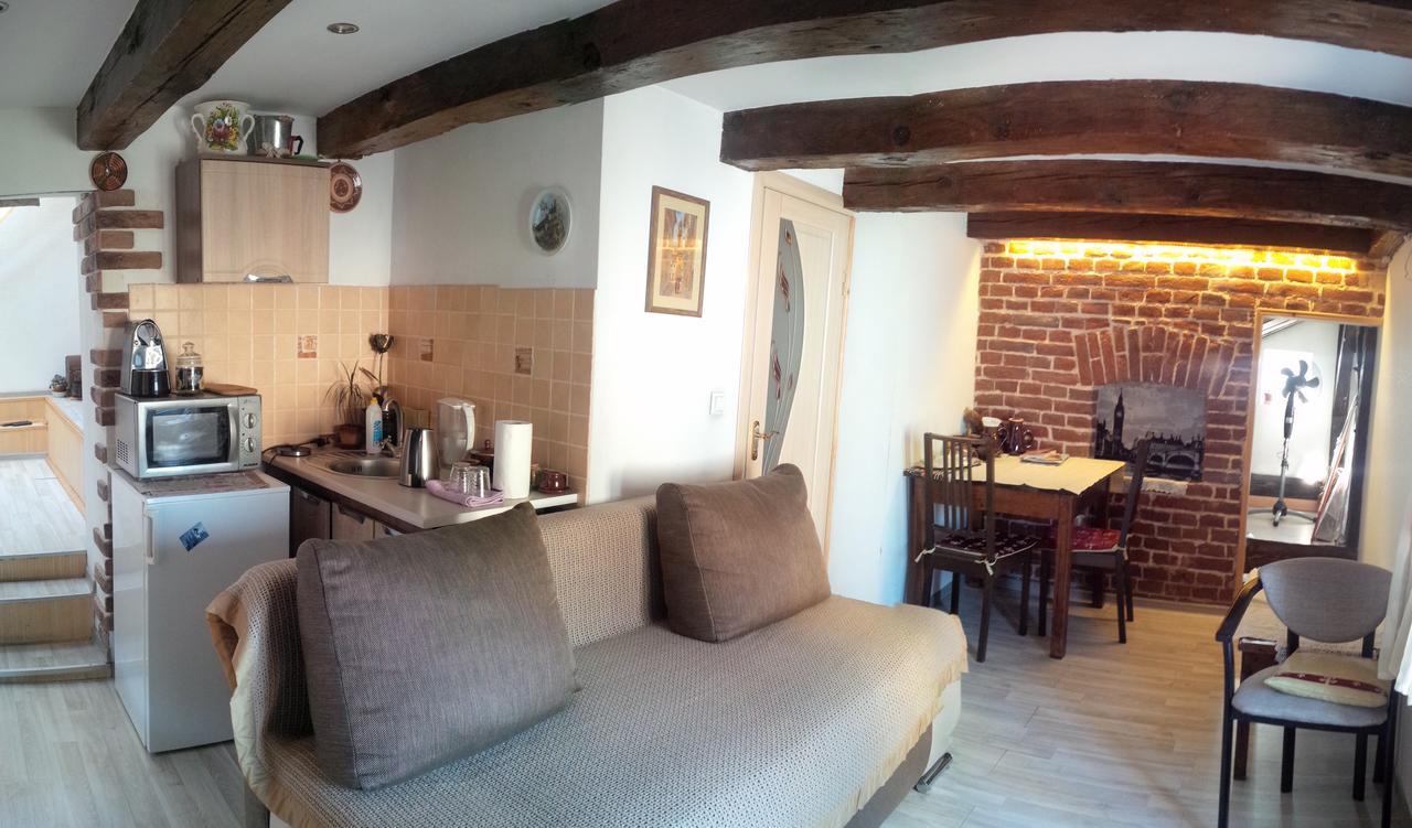Lviv Amazing Rooftop Apartment Bagian luar foto