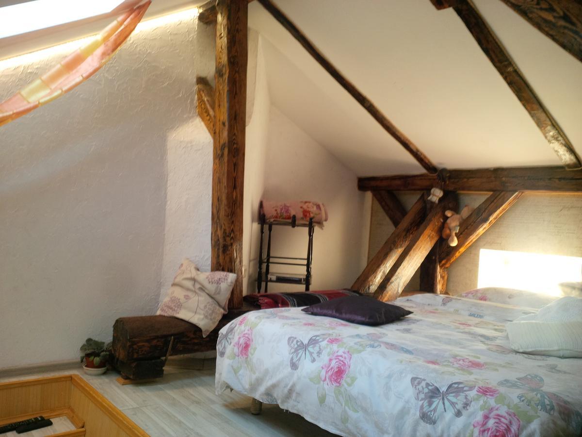Lviv Amazing Rooftop Apartment Bagian luar foto