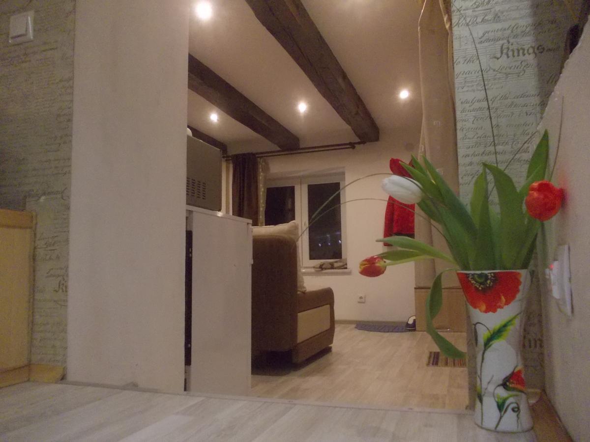 Lviv Amazing Rooftop Apartment Bagian luar foto